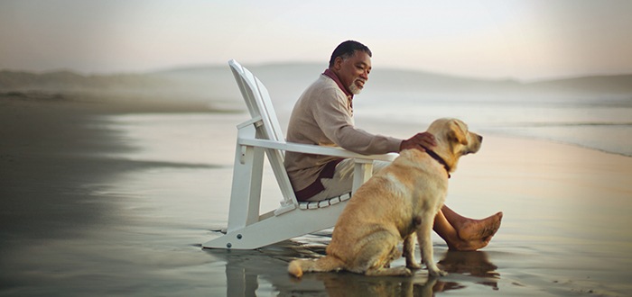 Three key areas overlooked in estate planning and our guide to the estate settlement process.