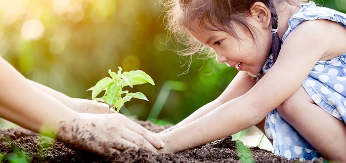 Family Dynamics Three Ways To Make Charitable Giving More - 