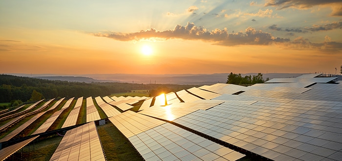 Social Impact Investing - Aligning Values with Your Investments (Audio) - The Private Bank