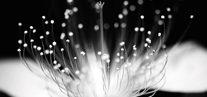 Wells Fargo Investment Institute - Tomorrow’s Technology - Digital Presentation